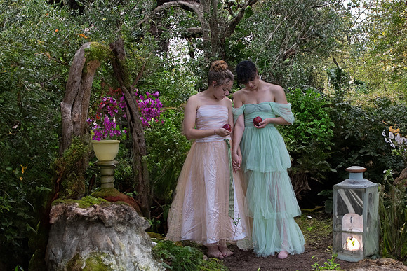 Fairie Garden