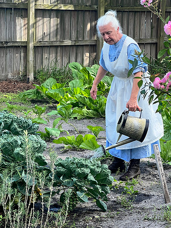 WATERING THE TURNUPS