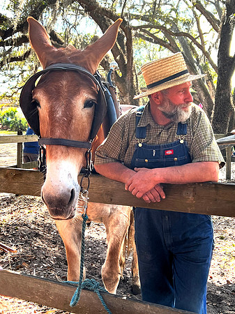MAN & MULE