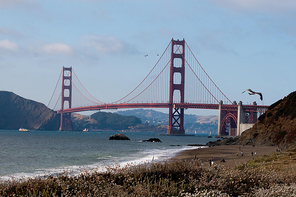 _MG_6181