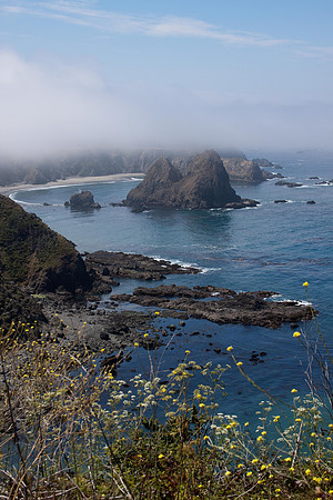IMG_7884