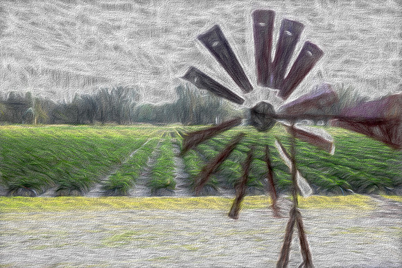 Field w windmill-Edit2