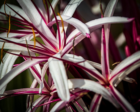 IMG_0109