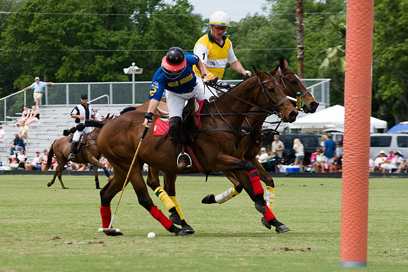 IMG_8641-43